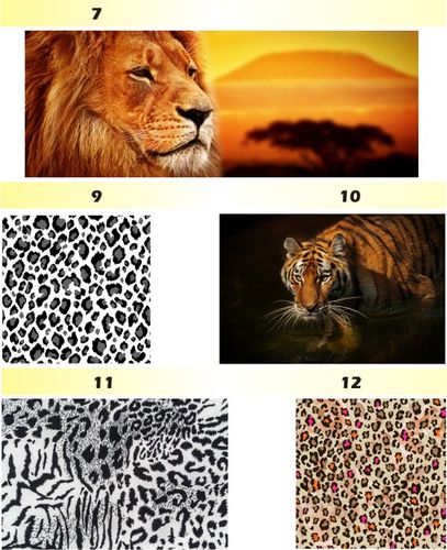 FOTOTAPETA zwierzęta brodzące FLAMINGI animacja na Arena.pl