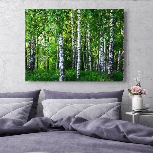 Obraz na płótnie - Canvas, Las brzozowy 60x40 na Arena.pl