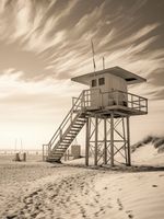 Plakat 75x100cm Strażnik Wydm