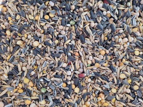 Karma ziarno pokarm dla ptaków zimujących ze słonecznikiem 20kg na Arena.pl