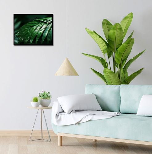Plakat 50x40cm Żywa Łagodność na Arena.pl