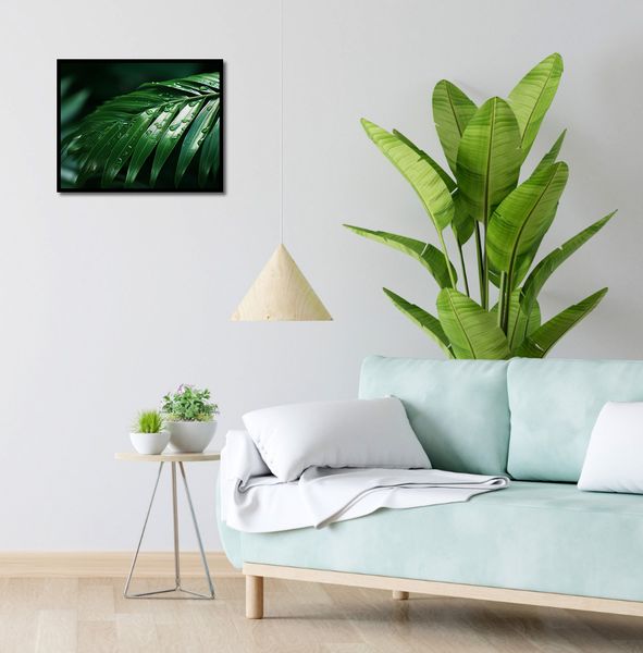 Plakat 50x40cm Żywa Łagodność zdjęcie 4