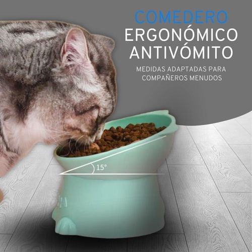 Podwyższona Miska dla Kota 15 Stopni Kształt Kota Zielona Ergonomiczna na Arena.pl