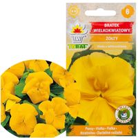 Bratek Wielkokwiatowy Żółty Nasiona 0,2G Kwiaty