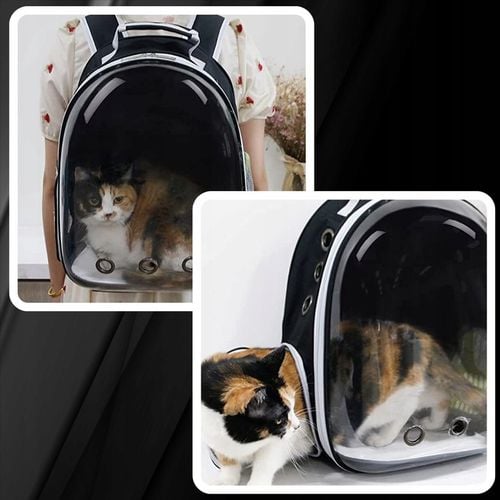 PLECAK DLA KOTA PSA TRANSPORTER PRZEZROCZYSTY WENTYLOWANY NA PSA NA KOTA na Arena.pl