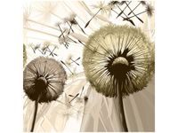 50CM 50CM OBRAZ DMUCHAWCE SEPI DRUK PŁÓTNO