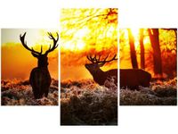 90X60CM OBRAZ RYKOWISKO TRZY OBRAZY