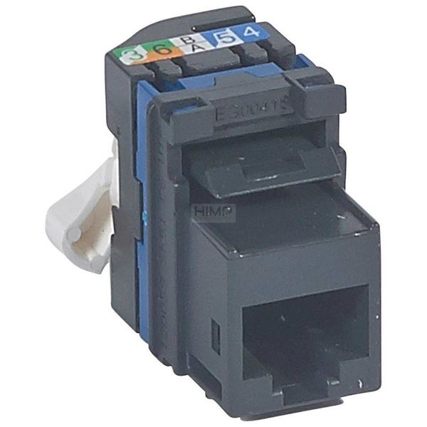 KEYSTONE: Gniazdo RJ 45 kat. 6 UTP Legrand 033181 zdjęcie 1