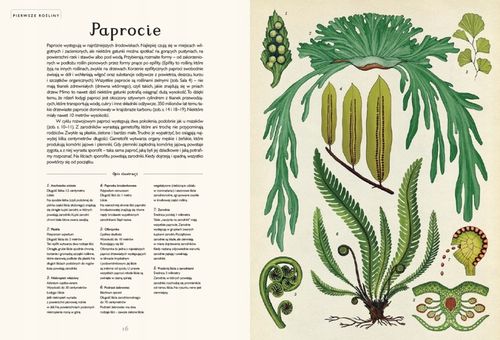 Botanicum na Arena.pl