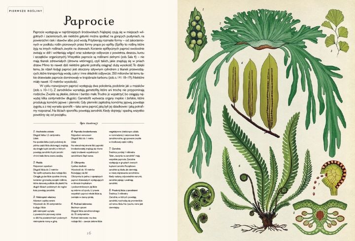 Botanicum zdjęcie 2