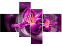 product-compare-58703663