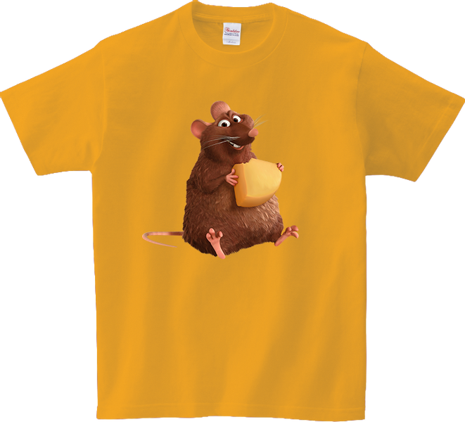 Koszulka T-shirt Ratatuj zdjęcie 1