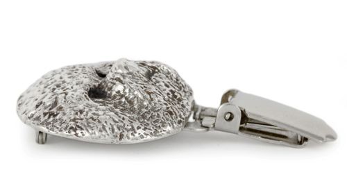 Bichon Frise - klips - 268 na Arena.pl