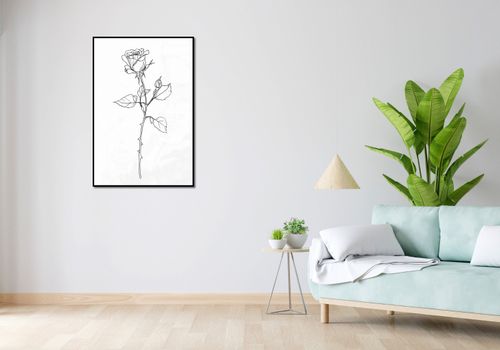Plakat 67,5x100cm Kontur Róży na Arena.pl