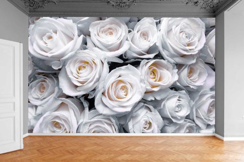 Fototapeta KWIATY BIAŁE RÓŻE DO SALONU 370x250 na Arena.pl