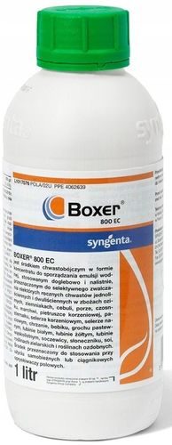 Boxer 800EC 1L chwastobójczy na miotłę i dwuliście na Arena.pl