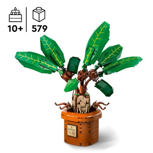 LEGO HARRY POTTER 76433 Mandragora na Arena.pl