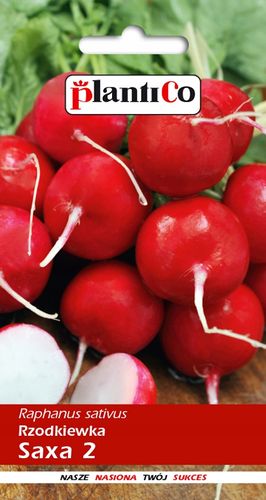 NASIONA Rzodkiewka Saxa Polana 10g PLANTICO 406018 na Arena.pl