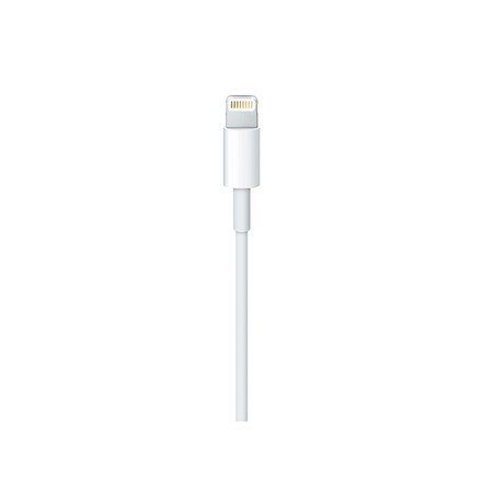 Lightning To Usb-C Cable (2 M) na Arena.pl