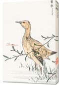Obraz 60x90cm Redshank, Kashu Japoński Vintage do Salonu