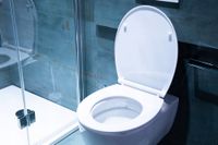 Deska sedesowa wolnoopadająca Pogo AWD de671