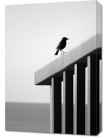 product-compare-59476577