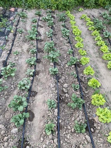 LINIA KROPLUJĄCA WĄŻ KROPLUJĄCY DO OGRODU Pocący Nawadnianie 100m Fi16 na Arena.pl