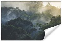 Fototapeta Do Sypialni TROPIKALNY Las We Mgle Natura 3D 315cm x 210cm