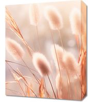 product-compare-59479182