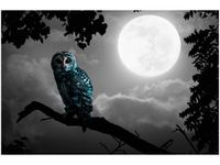 product-compare-58694679