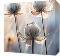 product-compare-59471400