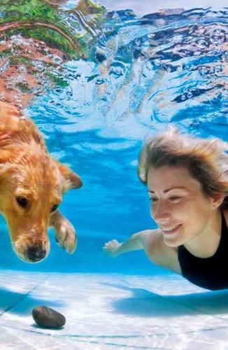 Basen OGRODOWY 366 x 76 cm Stelażowy ZESTAW 16w1 na Arena.pl