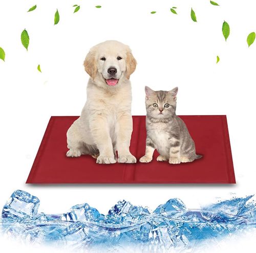 Mata Chłodząca Dla Psów I Kotów 40X50Cm Czerwona na Arena.pl