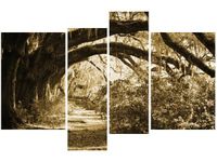 OBRAZ DROGA DRZEWAMI VINTAGE