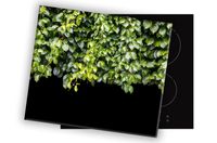 SZKLANA DESKA NA KUCHENKĘ 60x52 032A KRZEWY