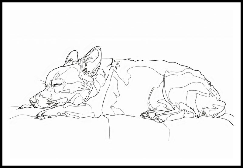 Plakat 91,5x61cm Śpiący Psiak zdjęcie 3