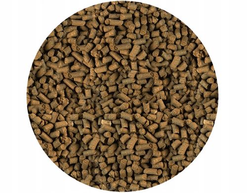 POKARM KARMA PASZA ZANĘTA GRANULAT DLA RYB KOI KARPI NA OCZKO WODNE na Arena.pl