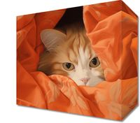 Obraz 20x20cm Ukryty Kot