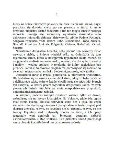 Suche gałązki zdjęcie 9