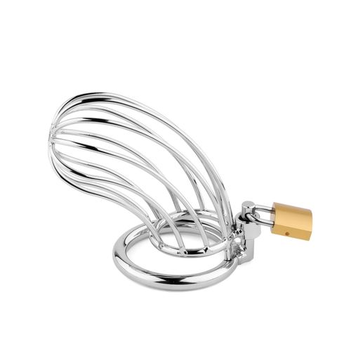 Metal Penis Cock Cage - Regular na Arena.pl