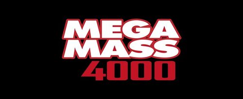 WEIDER MEGA MASS 4000 3kg GAINER CZEKOLADA MASA BIAŁKO WĘGLOWODANY na Arena.pl