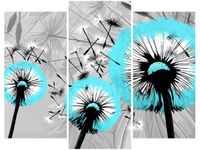 product-compare-58672949