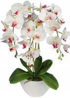Storczyk sztuczny jak żywy biały z różowym sercem orchidea 60cm doniczka