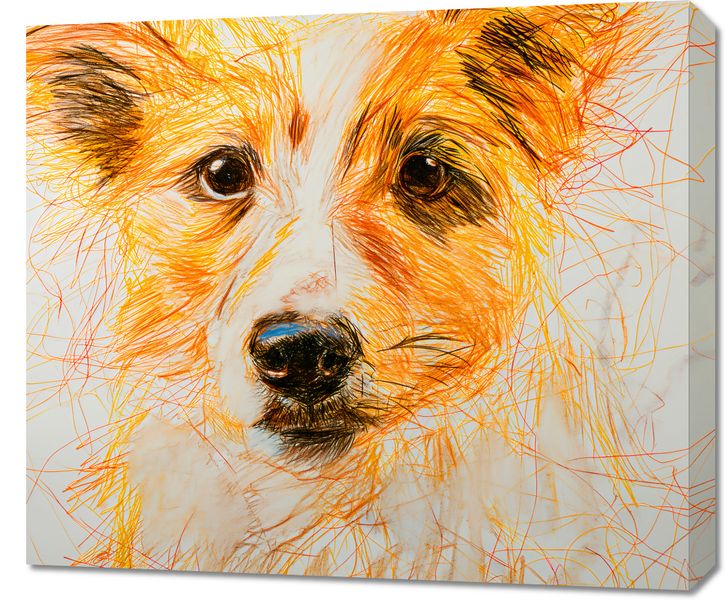 Obraz 70x60cm Uroczy Gość zdjęcie 1