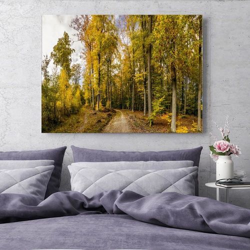 Obraz na płótnie - Canvas, Jesienne drzewa 90x60 na Arena.pl