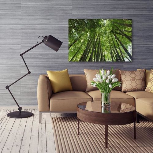 Obraz na płótnie - Canvas, Bambusowy gaj 70x50 na Arena.pl