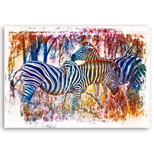 Obraz na płótnie – Canvas, Zebry, abstrakcja 60x40 na Arena.pl