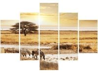 70 100CM OBRAZ 5 ELEM SAFARI DRUK PŁÓTNO