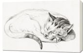 Obraz 90x60cm Śpiący Kot 2, Jean Bernard Vintage do Salonu