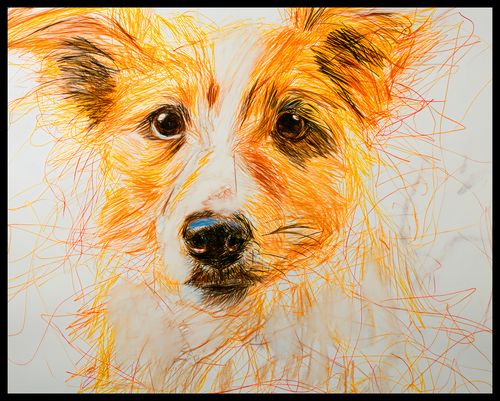 Plakat 76x60,5cm Uroczy Gość na Arena.pl